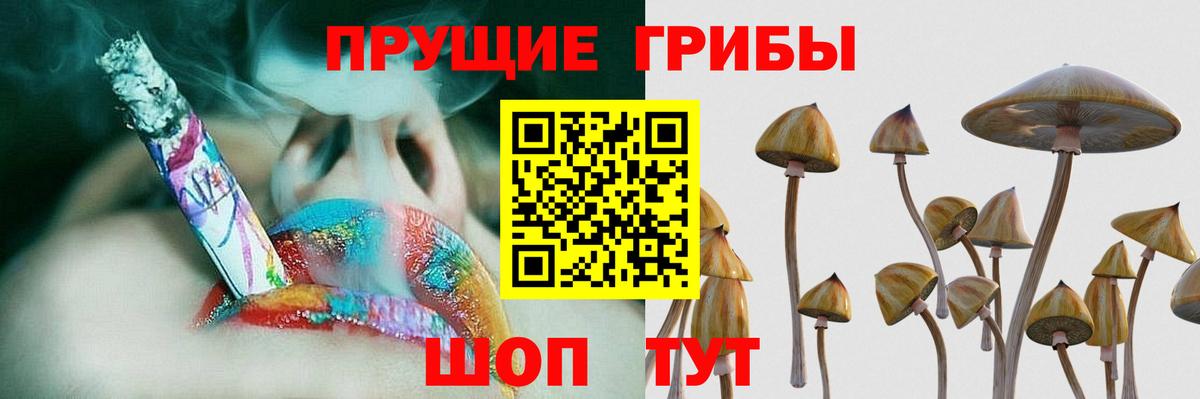 Улан-Удэ  Галлюциногенные грибы прущие грибы  Вход с VPN 